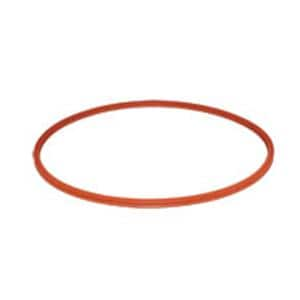 Gasket For Aquaclave 10, Chemiclave 6000, 8000 Ea