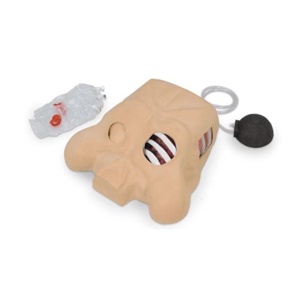 Chest Tube Model Manikin Ea