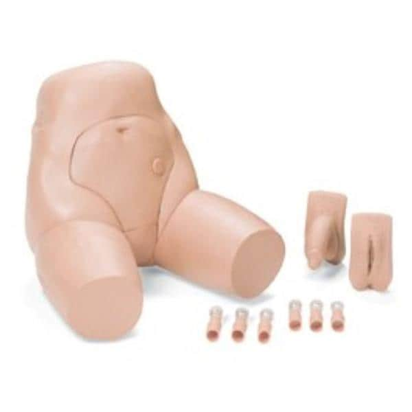 Catheterization & Enema Male/Female Task Trainer Ea