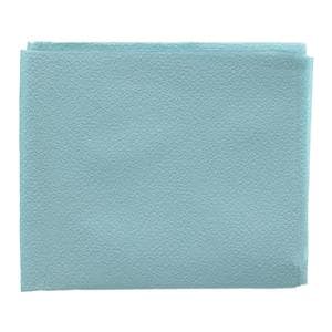 Polygard Deluxe Patient Bib 3 Ply T/P 18 in x 30 in Blu Disposable 300/Ca