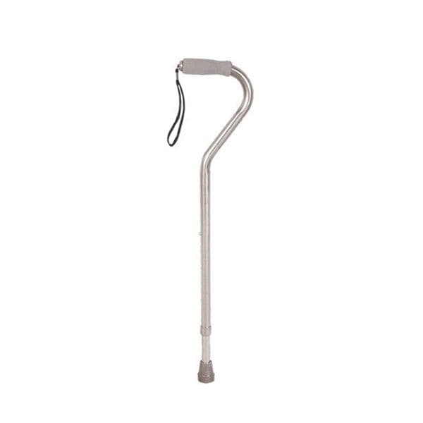 Single Cane Adult 300lb Capacity 30-39