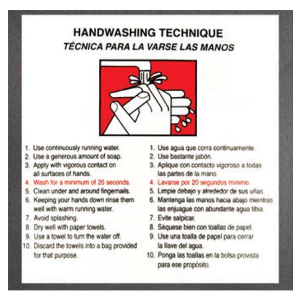 Handwashing Techniques 6x6" Informational Label 2/Pk