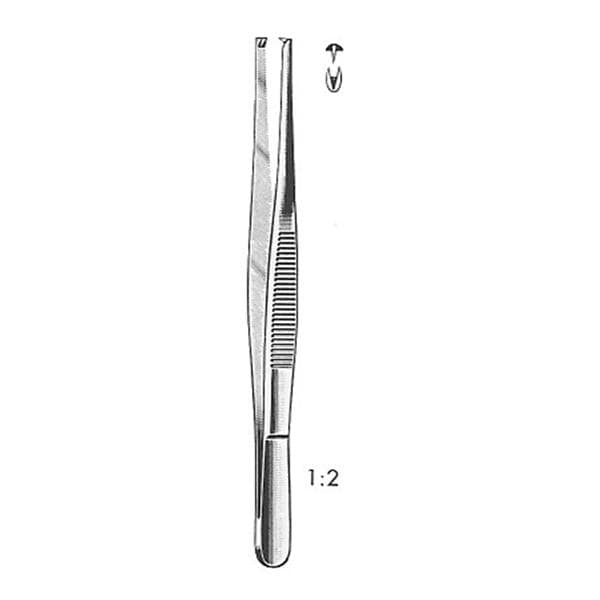 Tissue Forcep 8" Ea