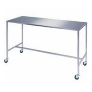 Table Instrument 24x48x34" SS Ea