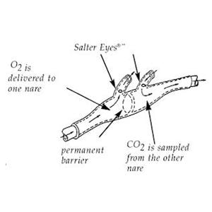 Cannula CO2/O2 Sample 13' Adult 25/Ca