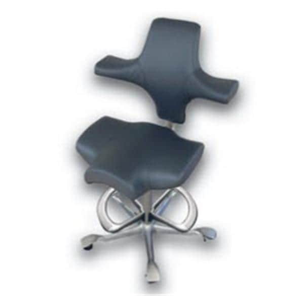 Ergonomic Chair Charcoal Gray Ea