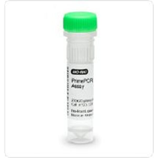 Liquichek Hematology Tri-Level Control 12x3mL For Analyzer Ea