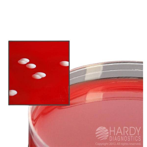 Phenylethyl Alcohol Agar Plate 5% Sheep Blood 15x100mm 10/Pk