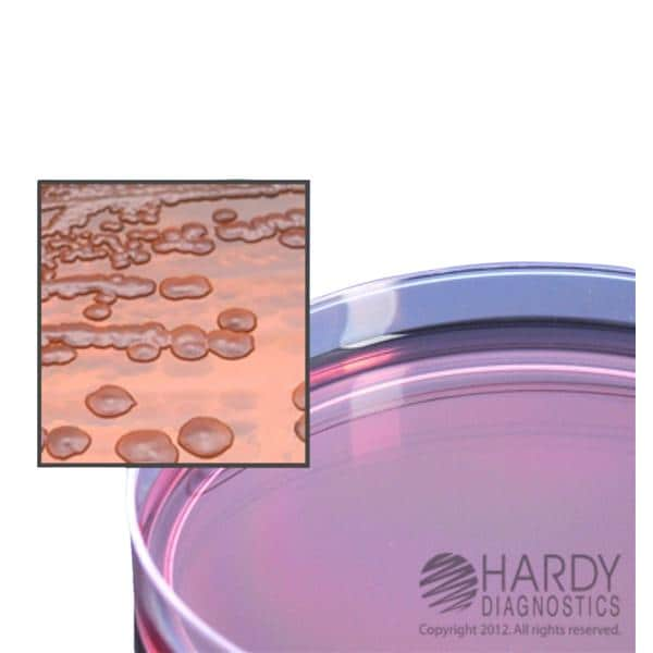 E. Coli: Escherichia coli Test 10/Pk