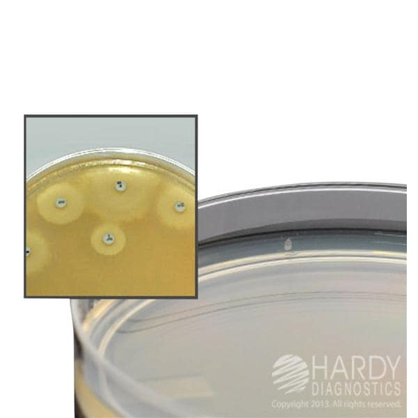 Culture Mueller-Hinton Agar 10/Pk