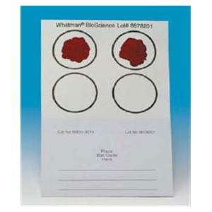 Whatman Blood Stain Card 100/Pk