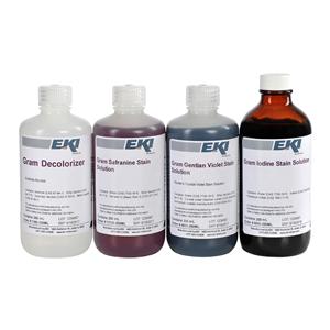 Gram Stain Kit With 35deg Labeling Area Ea