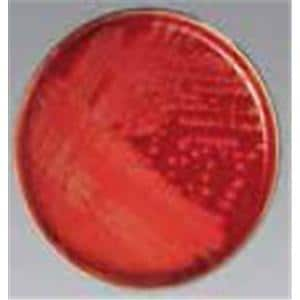 Strep Agar 12x85mm Monoplate 100/Pk