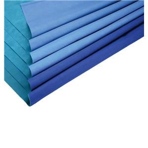 CH600 Sterilization Wrap 48 in x 48 in Blue / Green 48/Ca