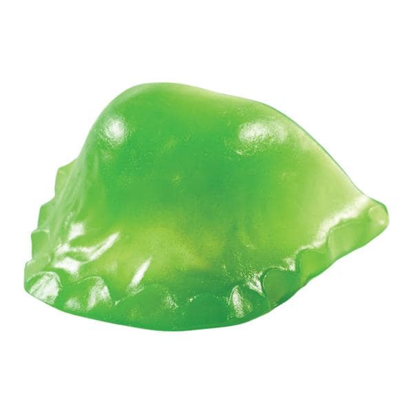 Electric Ortho-Jet Orthodontic Resin Green 5Lb/Dr