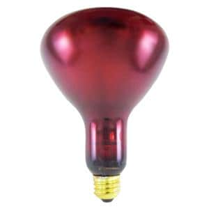 Replacement Bulb Ruby