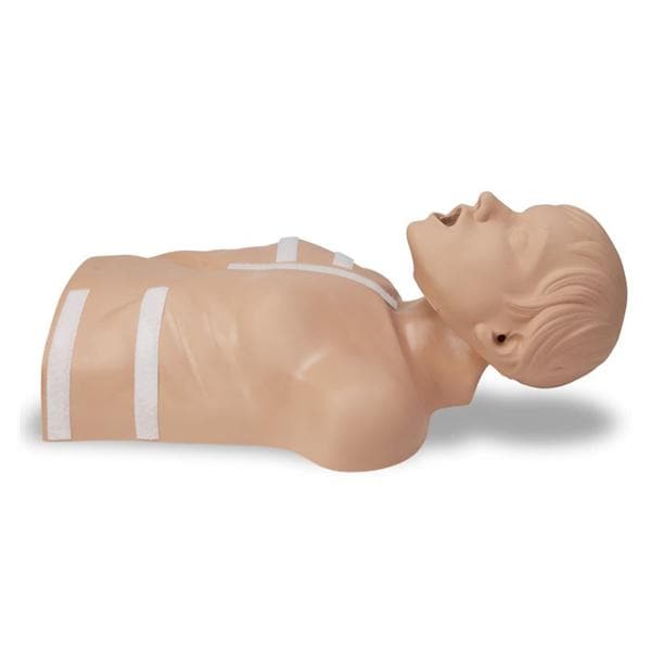 AED Plus Upper Half Training Adult Male Manikin Ea