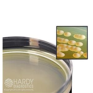 Malt Extract Agar For Culture Media 10/Pk