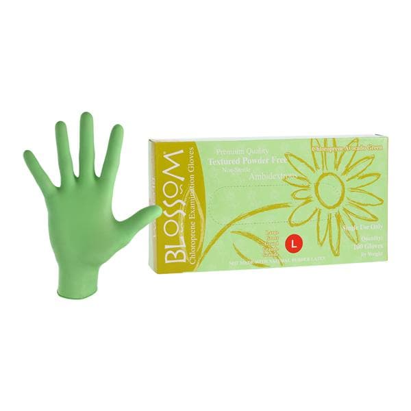 Chloroprene Gloves Large Non-Sterile, 10 BX/CR