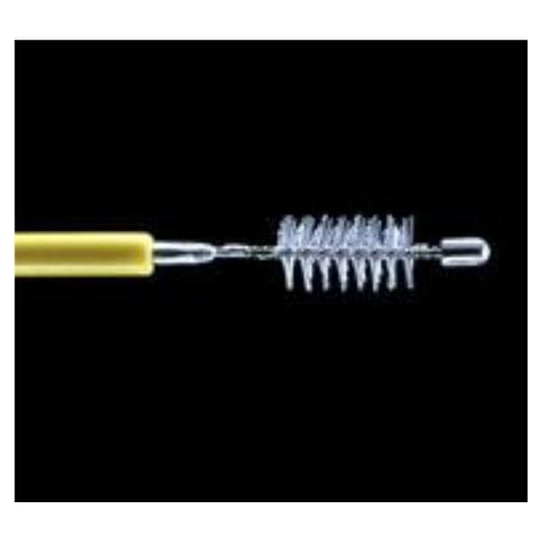 Biopsy Brush Ea