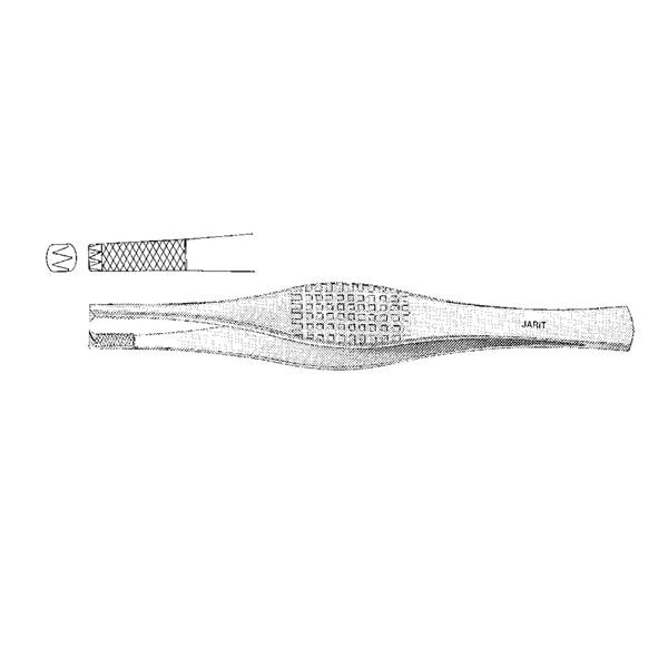 Ferris-Smith Forcep 6-3/4" Ea