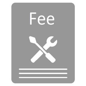 Labor & Delivery Fee Ea