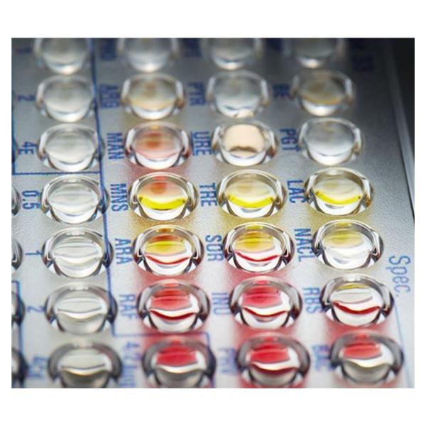 Microscan Gram Positive Panel 20/Pk