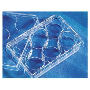 Costar Cell Culture Plate Polystyrene 6 Well Flat Bottom 50/Ca