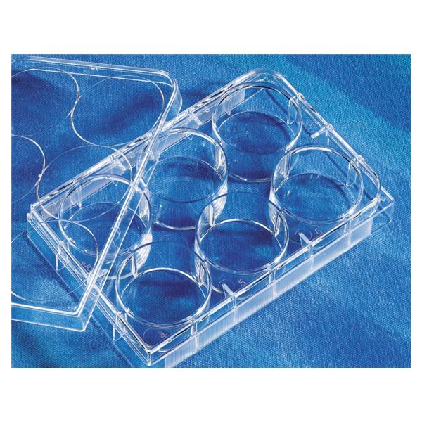 Costar Cell Culture Plate Polystyrene 6 Well Flat Bottom 50/Ca