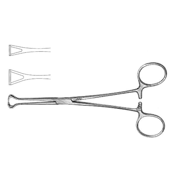 Babcock Tissue Forcep 6-1/4" Ea