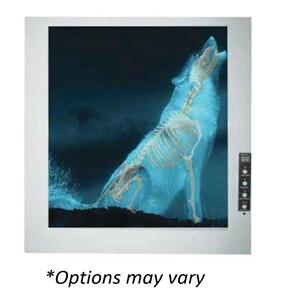 Trimline X-Ray Film Illuminator 2 Bank 32x20x1" With Remote Ea