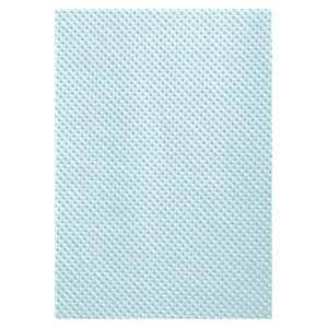 Patient Bib 2 Ply Tissue / Poly 13.5 in x 18 in Blue Disposable 500/Ca