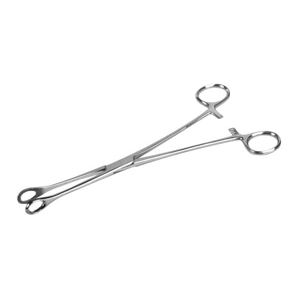 Sponge Forceps 9.5" Stainless Steel 50/Ca