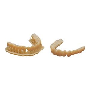 Denture Teeth A3 1/Bx