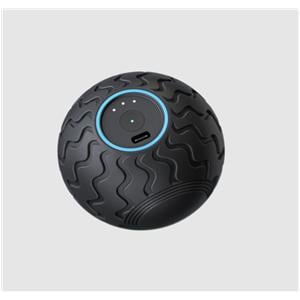 Roller Ball Black