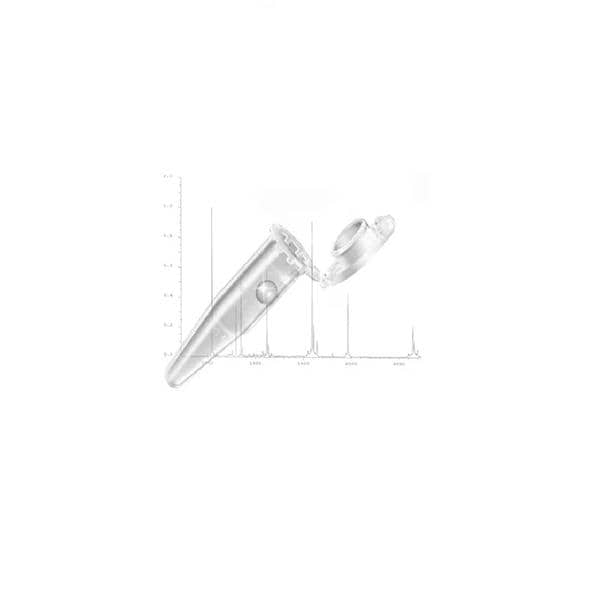 LoBind Protein/Microcentrifuge Tube Polymer 2mL PCR Clean 500/Bg