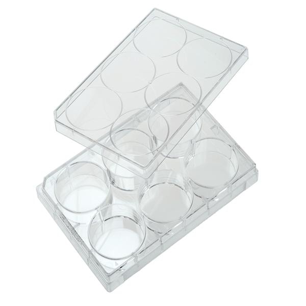 Tissue Culture Plate Polystyrene 6 Well 50/Ca