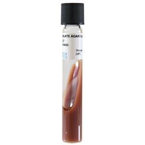 Chocolate Agar Slant 5.5mL 16x125mm Tube 20/Pk