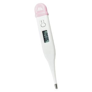 Digital Thermometer Fahrenheit Ea