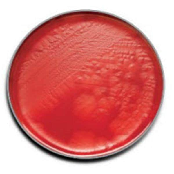 BBL Prepared Media CDC Anaerobe 5% Sheep Blood Agar Plate 100/Bx