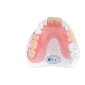 iFlex Partial Sample Model Ea