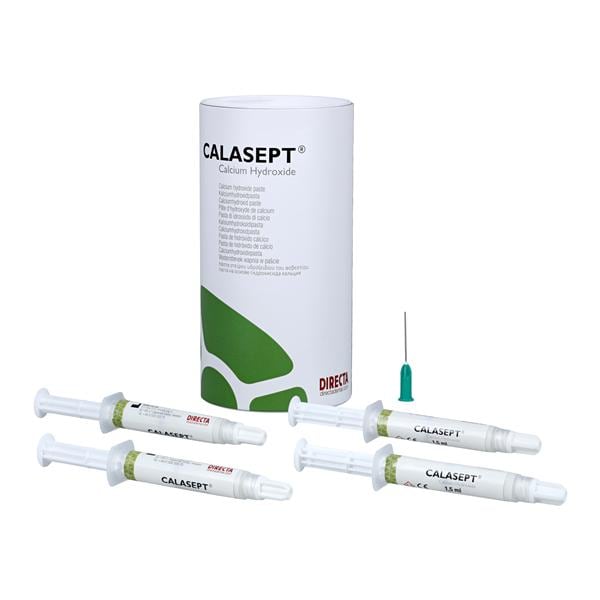 Calasept Paste Temporary Sealer Ea