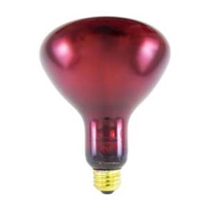 Bulb INF. Red Ruby 175watt 175watt ea ea