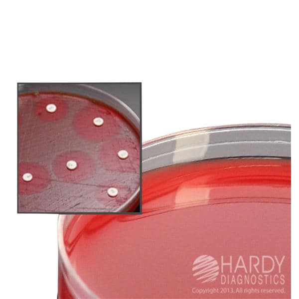 Culture Mueller-Hinton Agar Plate 10/Bx