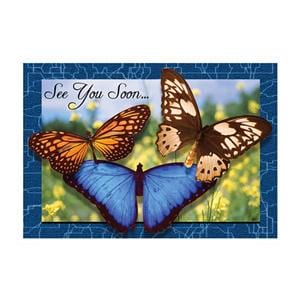 Imprinted Recall Cards 3 Butterflies 4 in x 6 in 250/Pk