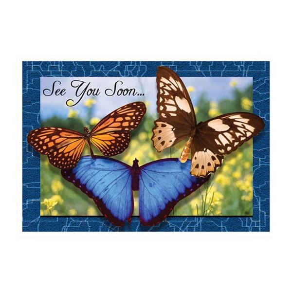 Imprinted Recall Cards 3 Butterflies 4 in x 6 in 250/Pk