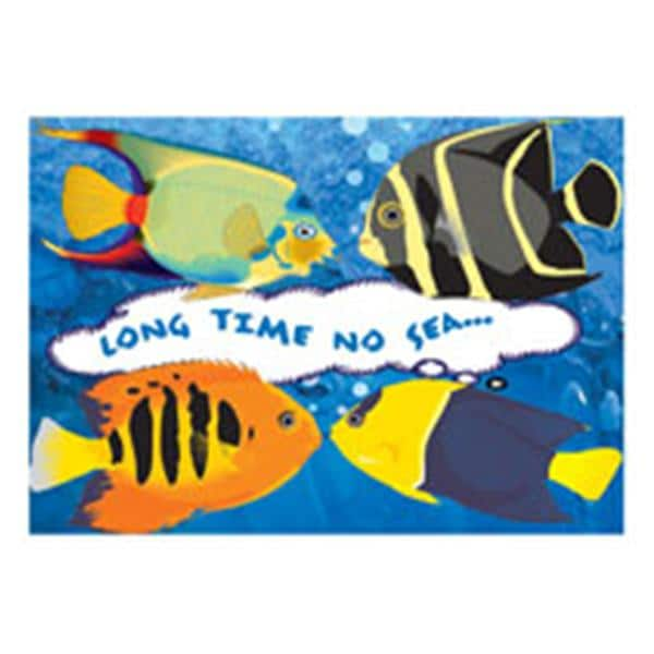 Imprinted Recall Cards Long Time No Sea 4 in x 6 in 250/Pk