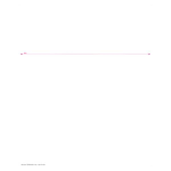 Laser Statement Paper Pastel White With Perforated Remittance Stub 500/Pk