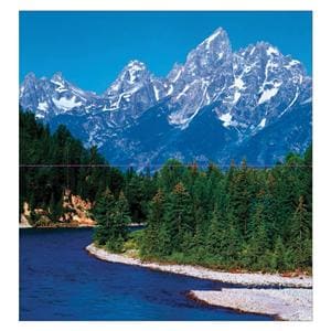 CeilingScenes Acoustic Tile Mountain View & Stream 2-Tiles Horizontal 48x24 Ea