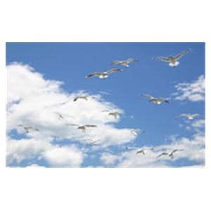 CeilingScenes Light Lens Seagull Sky 4-Tiles Square 24 in x 24 in Ea